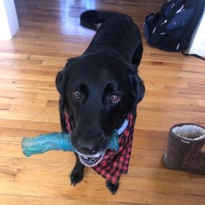 Meet your Posher, Alex